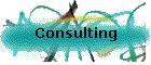 Consulting