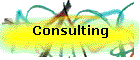 Consulting